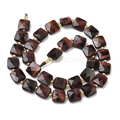 Natural Tiger Eye Beads Strands&nbsp;G-L642-L03-10mm-01