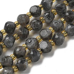 天然ラルビカイトビーズ連売り  シードビーズで  多面カット  サイコロ  6x6mm  穴：1mm  約47~52個/連  15.35''~15.75''（39~40センチメートル）&nbsp;G-K387-A02-01