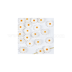 20Pcs Natural Freshwater Shell Beads&nbsp;SHEL-NB0001-65B