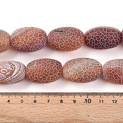天然石風化瑪瑙ビーズ連売り  染め  バレル  ペルー  27~30x18~22mm  穴：2~3mm  約12個/連  12.99~13.78インチ（33~35cm）&nbsp;G-N344-43