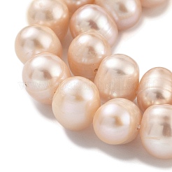 Natural Cultured Freshwater Pearl Beads Strands&nbsp;PEAR-C003-19B