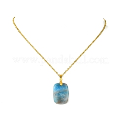 Natural Apatite Rectangle Pendant 304 Stainless Steel Cable Chain Necklaces&nbsp;NJEW-JN06210-02