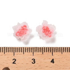 Luminous Resin Decoden Cabochons&nbsp;RESI-K036-06D