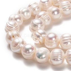 天然養殖淡水パールビーズ連売り  ポテト  ビスク  10~11x10.5~12mm  穴：0.6mm  約34個/連  14.17インチ（36cm）&nbsp;PEAR-L033-90-01
