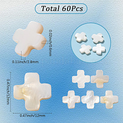 60 個の天然淡水シェルビーズ連売り  クロス  フローラルホワイト  11.5~12x11.5~12x2.8mm  穴：0.6mm&nbsp;SSHEL-SC0001-39