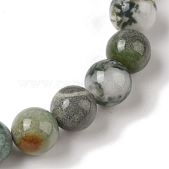 8mm Round Natural Tree Agate Braided Bead Bracelets&nbsp;BJEW-C067-01B-01