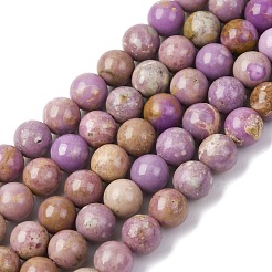Natural Lepidolite/Purple Mica Stone Beads Strands&nbsp;G-K401-A01-6mm