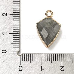 天然石ラブラドライトペンダント  真鍮の盾チャーム  多面カット  ゴールドカラー  19.5x12.5x6~6.5mm  穴：1.8mm&nbsp;G-K422-01G-14