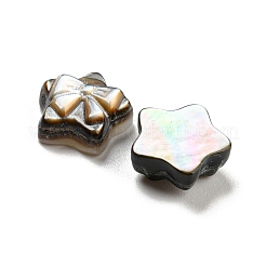Natural Black Lip Shell Cabochons&nbsp;SHEL-D079-20