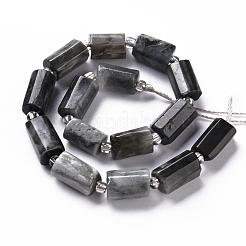 Natural Hawk's Eye Beads Strands&nbsp;G-S345-8x11-009