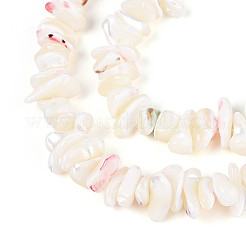 Natural Trochid Shell/Trochus Shell Beads Strands&nbsp;SSHEL-T017-29