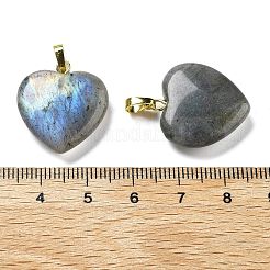 Natural Labradorite Pendants&nbsp;G-G956-B24-G