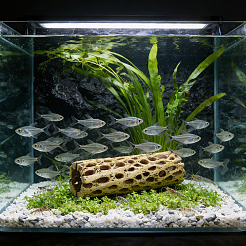 樹脂製模造キールオーナメント2個  水槽の装飾用  304ステンレス鋼とプラスチック製のレストチューブブラシ1個付き  ミックスカラー  152x52~54mm&nbsp;DJEW-GA0001-91