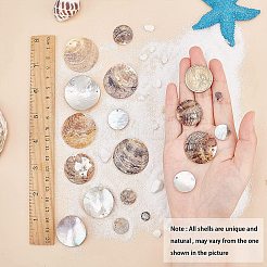 Natural Akoya Shell Pendants&nbsp;SHEL-SC0001-02