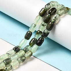 Natural Prehnite Beads Strands&nbsp;G-G980-24