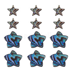 12pcs2スタイルナチュラルアワビシェル/パウアシェルビーズ  スター  カラフル  9~15.5x9~16x3~3.5mm  穴：0.8~1mm  6個/スタイル&nbsp;SHEL-TA0001-40