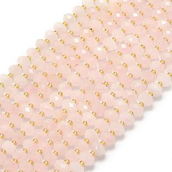 Natural Rose Quartz Beads Strands&nbsp;G-P573-A23-01