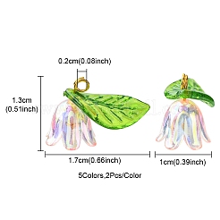 10Pcs 5 Colors Acrylic & Plastic Pendants&nbsp;OACR-YW0001-63