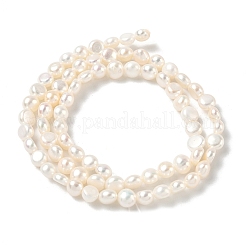 Natural Cultured Freshwater Pearl Beads Strands&nbsp;PEAR-C004-15