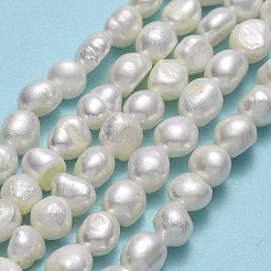 Natural Cultured Freshwater Pearl Beads Strands&nbsp;PEAR-A005-14-01A
