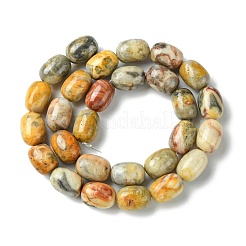 Barrel Shaped Gemstone Natural Crazy Lace Agate Beads Strands&nbsp;X-G-S114-08