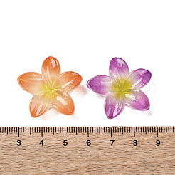 Opaque Resin Cabochons&nbsp;RESI-R455-01P