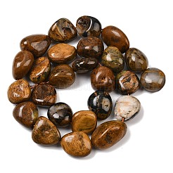 Natural Pietersite Beads Strands&nbsp;G-A286-A01-04