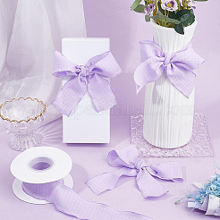 Polyester Wrinkle Ribbon&nbsp;OCOR-WH20003-74B