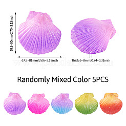 5Pcs Spray Painted Natural Scallop Shell Big Pendants&nbsp;SSHEL-TA0001-24