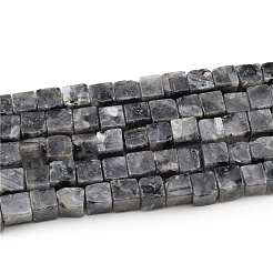 Natural Larvikite Beads Strands&nbsp;G-G002-A08