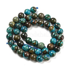 Natural Chrysocolla Beads Strands&nbsp;G-P503-8MM-05