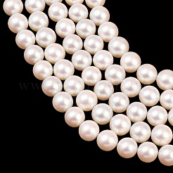 電気めっきシェルパールビーズ連売り  スムーズなラウンド  ミスティローズ  8mm  穴：0.8mm  約48個/連  15.94インチ（40.5cm）&nbsp;BSHE-C011-01B