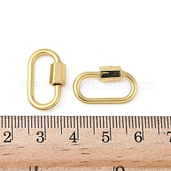 Brass Screw Carabiner Lock Charms&nbsp;ZIRC-G160-11G-B