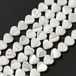 Natural Trochid Shell/Trochus Shell Beads Strands&nbsp;SHEL-F003-08A