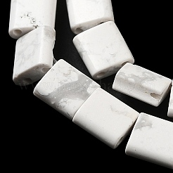 Natural Howlite Beads Strands&nbsp;G-F762-A12-01