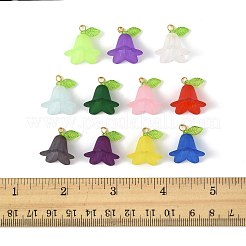 50Pcs Transparent Acrylic Pendants&nbsp;PALLOY-FS00043-05
