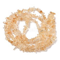Natural Citrine Beads Strands&nbsp;GG-CBAAEDE-A01-B