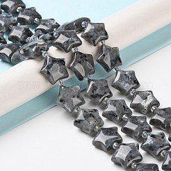 Natural Larvikite Beads Strands&nbsp;G-NH0005-016