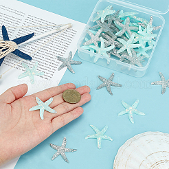40Pcs 2 Colors Plastic with Opaque Resin Cabochons&nbsp;RESI-PH0001-37