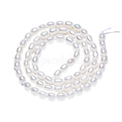 天然養殖淡水パールビーズ連売り  ライス  貝殻色  5~6x3.5~4mm  穴：0.7mm  約71~74個/連  14.72インチ〜15.04インチ（37.4~38.2cm）&nbsp;PEAR-N012-03G