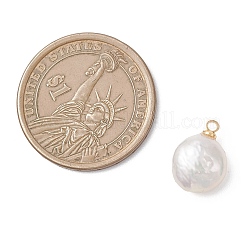 Natural Nucleated Pearl Keshi Pearl Flat Round Charms&nbsp;PALLOY-JF04781