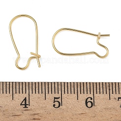 Brass Hoop Earring Findings&nbsp;KK-F824-009G