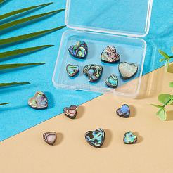 12pcs2スタイルナチュラルアワビシェル/パウアシェルビーズ  ハート  カラフル  10~15x10.5~15.5x3.5mm  穴：1mm  6個/スタイル&nbsp;SHEL-TA0001-41