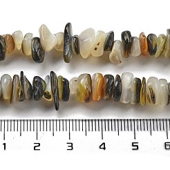 天然ブラックリップシェルビーズ連売り  チップ  2.5~6x6.5~10x7~11mm  穴：0.4mm  15.94''（40.5センチメートル）&nbsp;BSHE-G038-04
