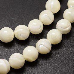 Shell Beads Strands&nbsp;SSHEL-E571-39-4mm