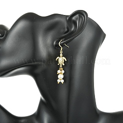 304 Stainless Steel Pendant Dangle Earrings&nbsp;EJEW-JE07232