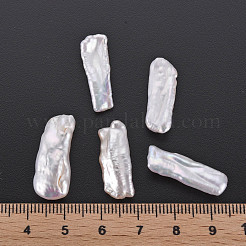Natural Biwa Pearl Beads&nbsp;PEAR-N020-H01
