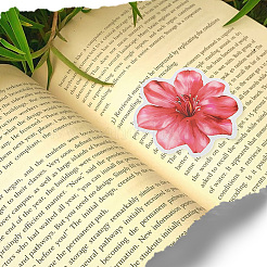 漫画の花の紙ステッカーラベルセット  ペット用粘着ステッカー付き  ミックスカラー  40~129x24~100x0.1~0.3mm&nbsp;DIY-SC0031-01