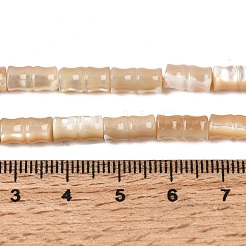 天然トロチッドシェル/トロカスシェルビーズ連売り  竹の棒  小麦  9.5~10.5x5~5.5mm  穴：0.5~0.6mm  約38~39個/連  15.08~15.43''（38.3~39.2センチメートル）&nbsp;SHEL-A006-06B