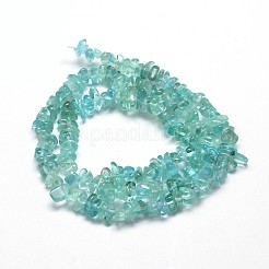 Natural Apatite Chip Beads Strands&nbsp;X-G-E271-80